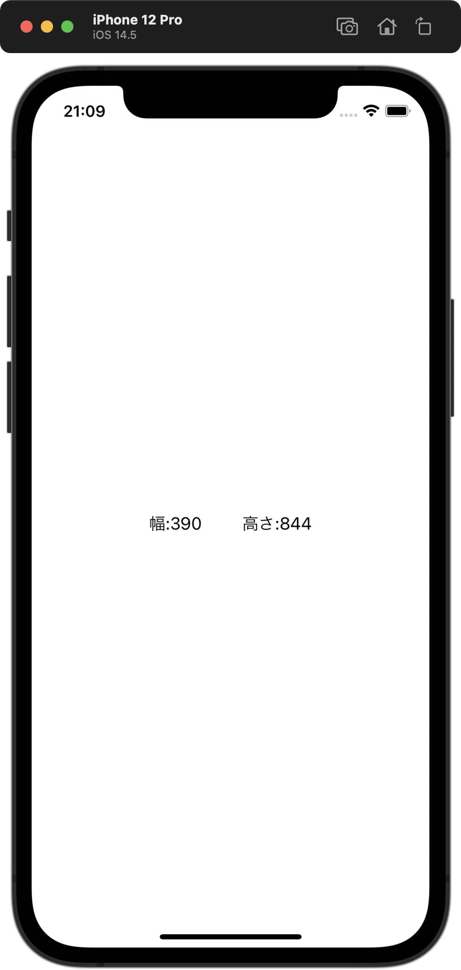 iPhone 12 Pro の幅と高さの取得例